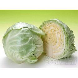 廣東糖類產(chǎn)品與蔬菜的批發(fā)、供應及廠家資源整合