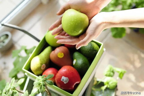 智慧農(nóng)貿(mào)精準管理 苗木全產(chǎn)業(yè)鏈效率提升之道