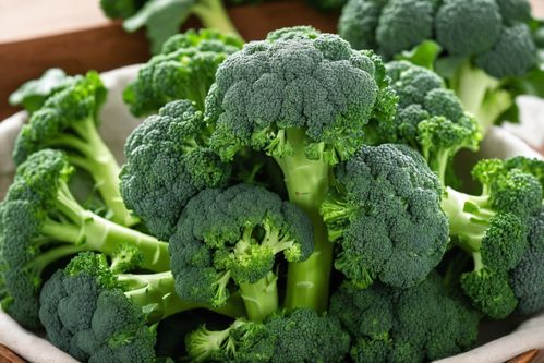 西藍花的新鮮魅力——創(chuàng)意攝影海報與蔬菜營養(yǎng)價值解析