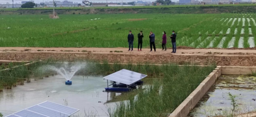 陸良縣強化養殖尾水治理，推動內陸水產養殖綠色可持續發展